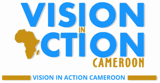 Vision in Action Cameroon